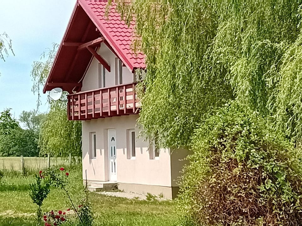 Camera Verii Nature lodge in Romania