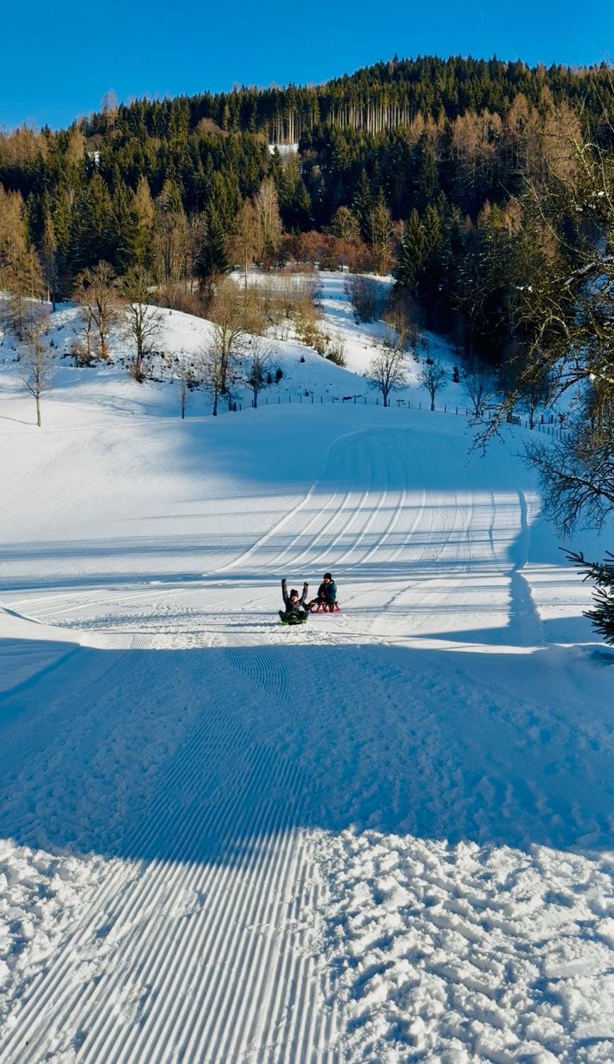 Winter, Sports