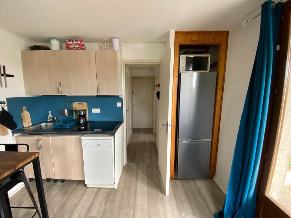 Samoens centre - appartement une chambre Apartment in Samoëns