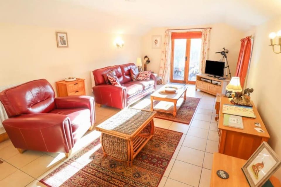 Communal lounge/ TV room, Living room, Evening entertainment