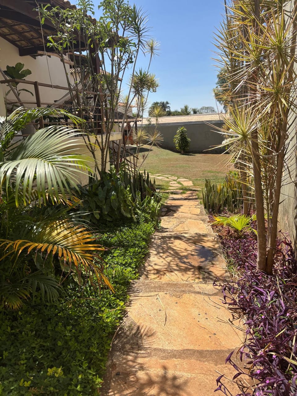 Garden view