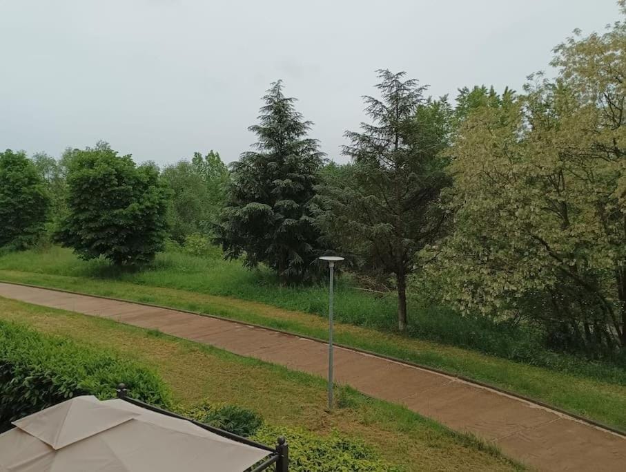 Neighbourhood