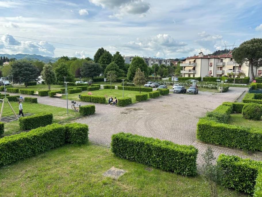Neighbourhood, Garden, Street view, Parking