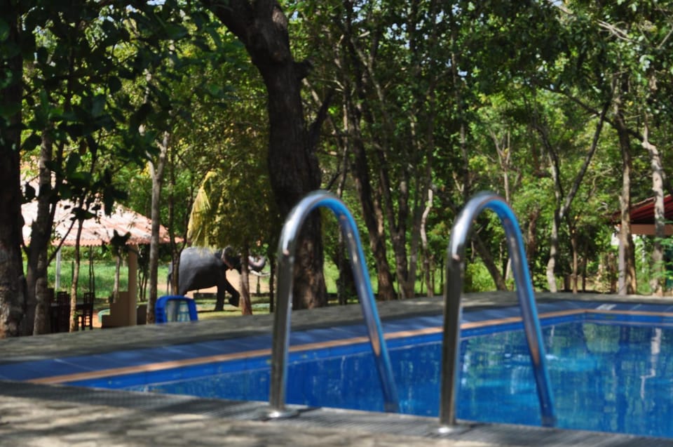 Pool view, Swimming pool
