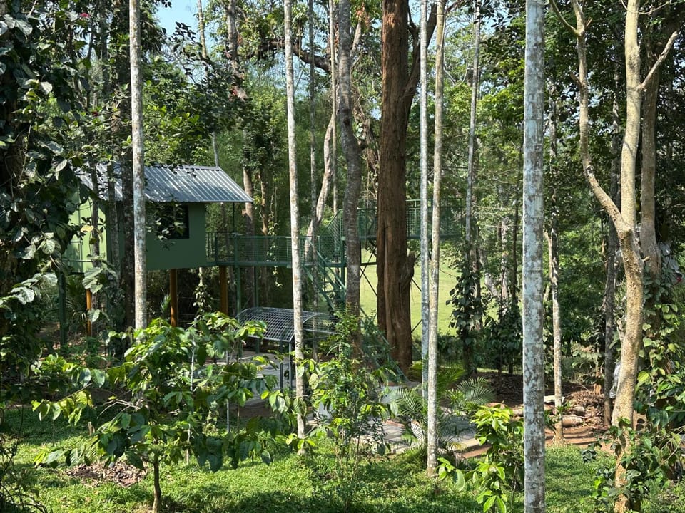 Jungle Getaway Wayand Nature lodge in Kerala