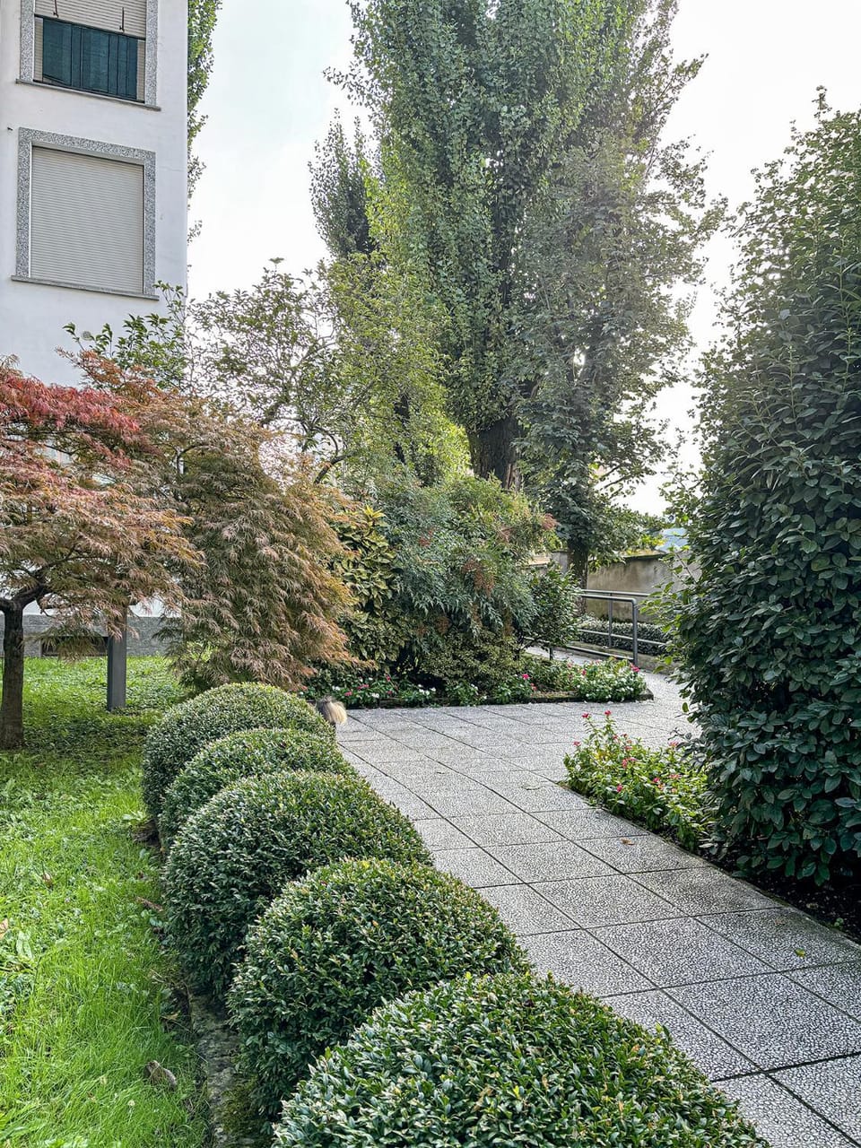 Natural landscape, Garden, Garden view