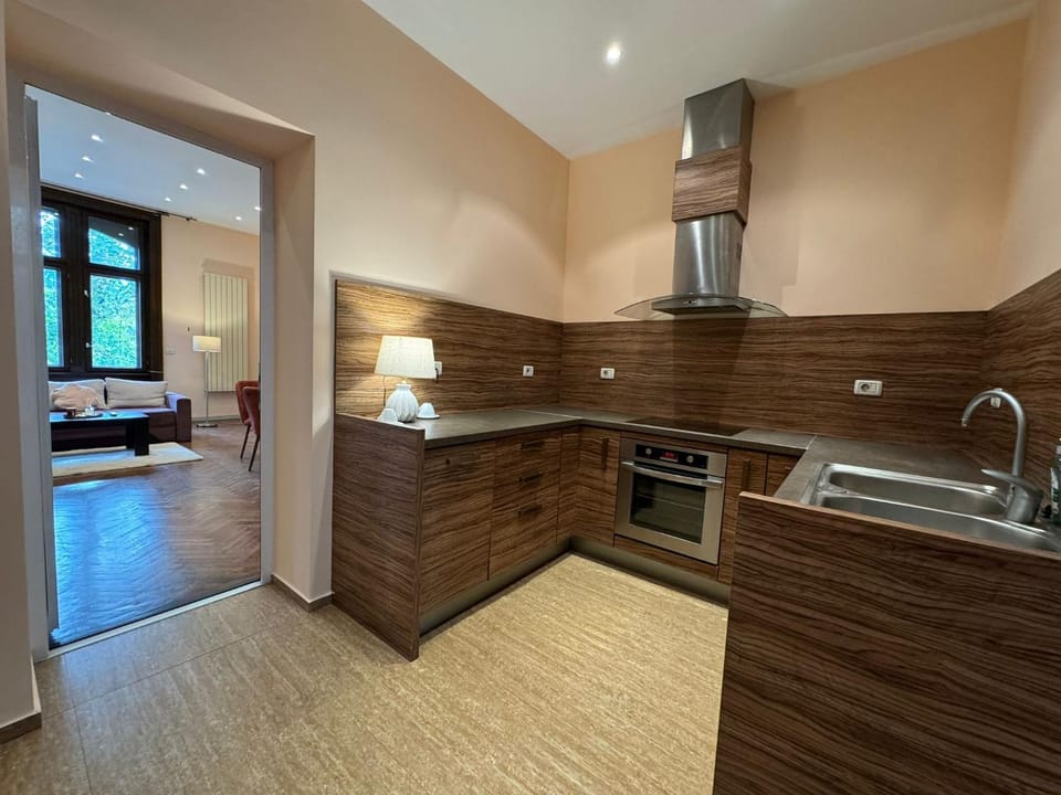Kitchen or kitchenette, dishwasher, stove