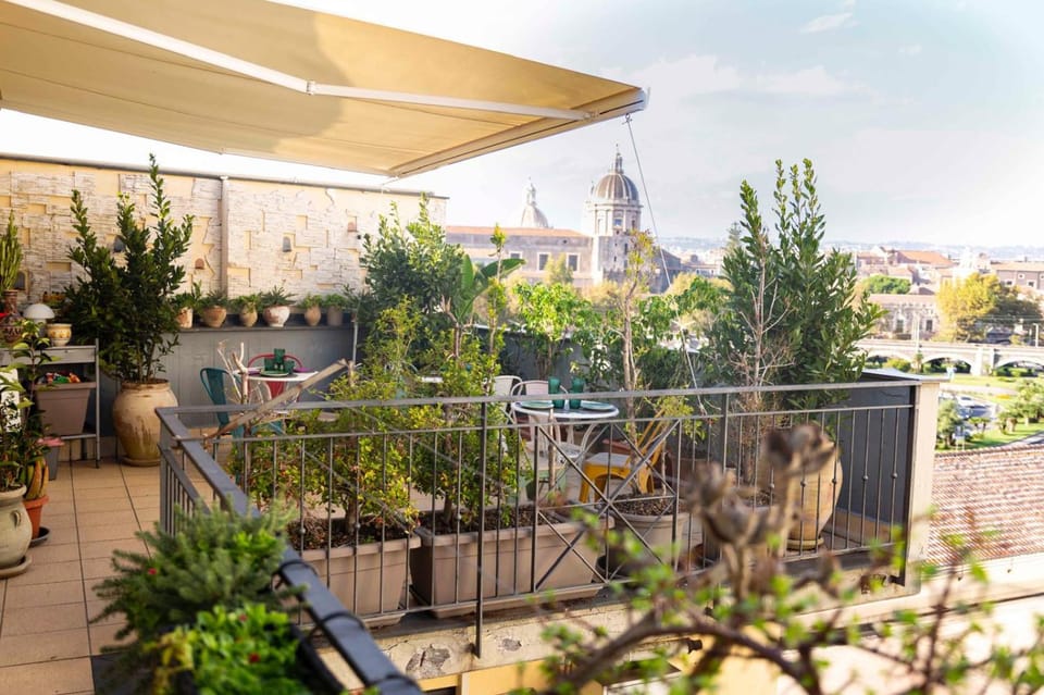 Patio, Balcony/Terrace