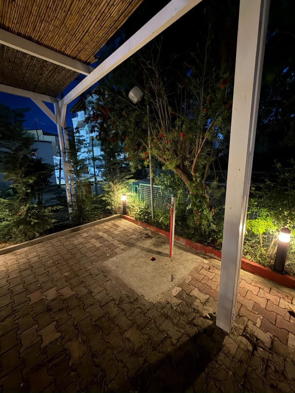 Night, Garden