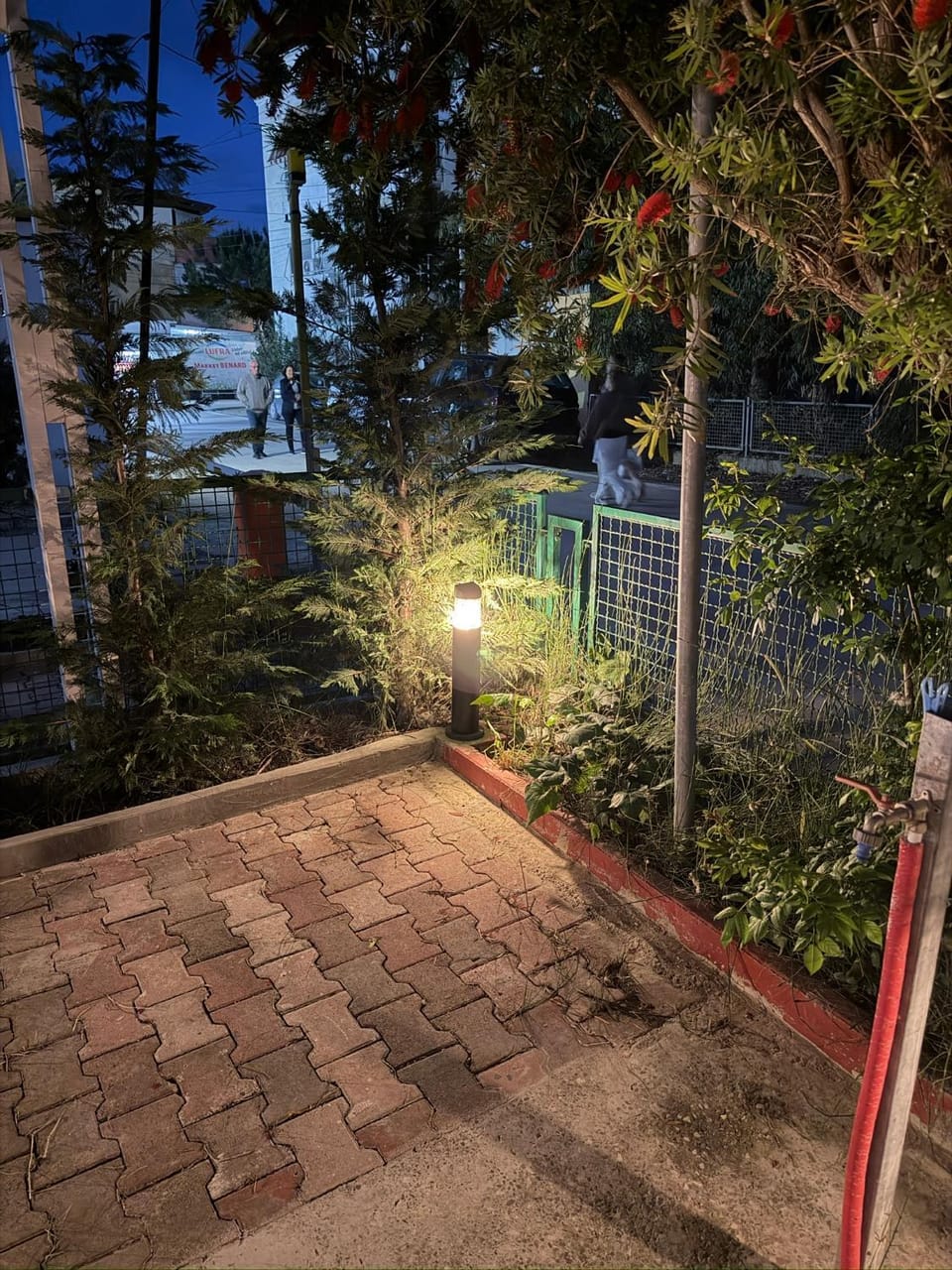 Night, Garden