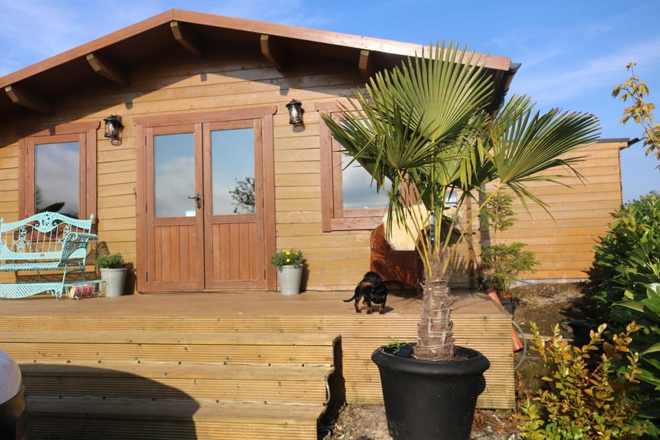 Property building, Patio, Garden view