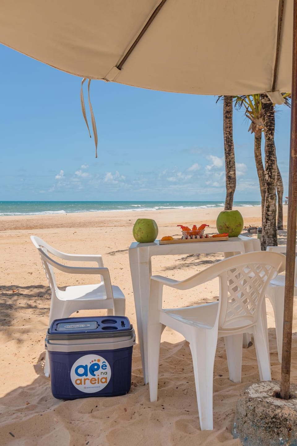 Day, Natural landscape, Dining area, Beach, Sea view