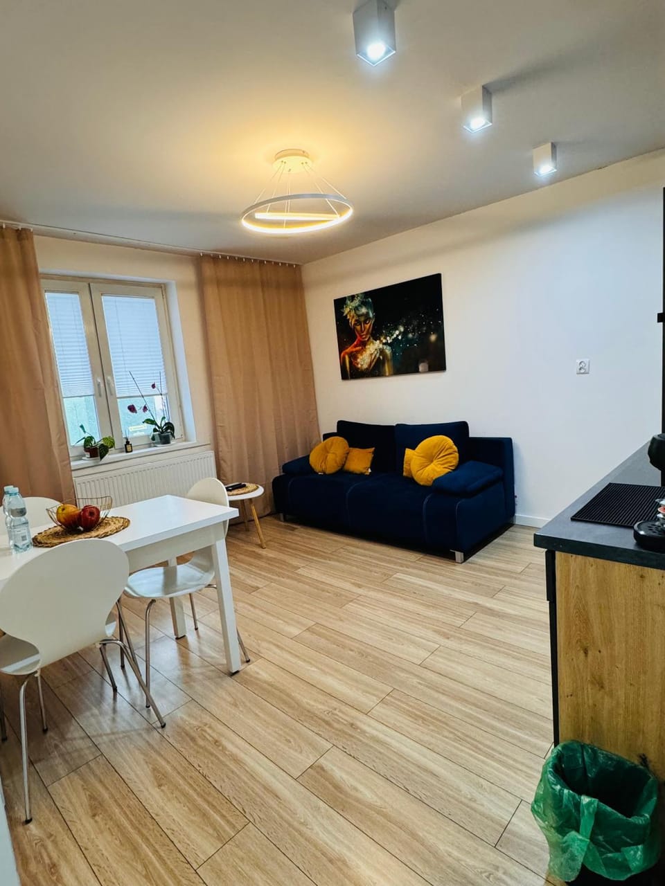 Dominica Apartments Apartment in Lower Silesian Voivodeship