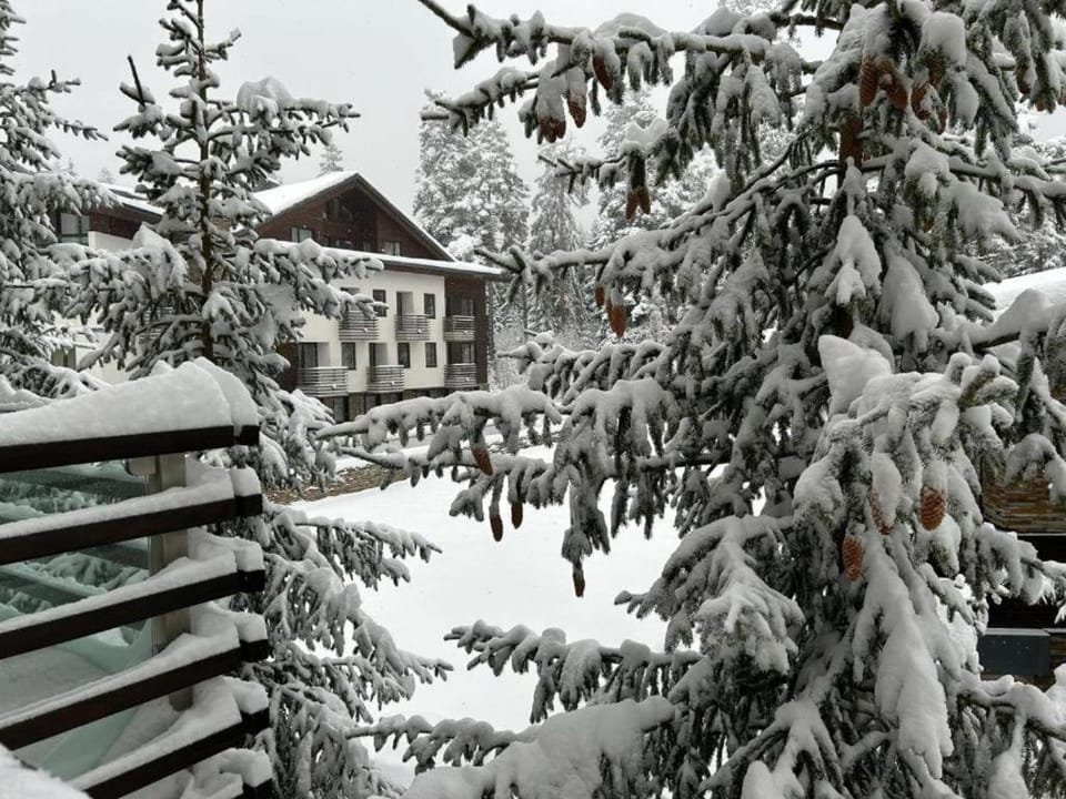 Silent retreat at Euphoria Club and SPA Borovets Apartment in North Macedonia