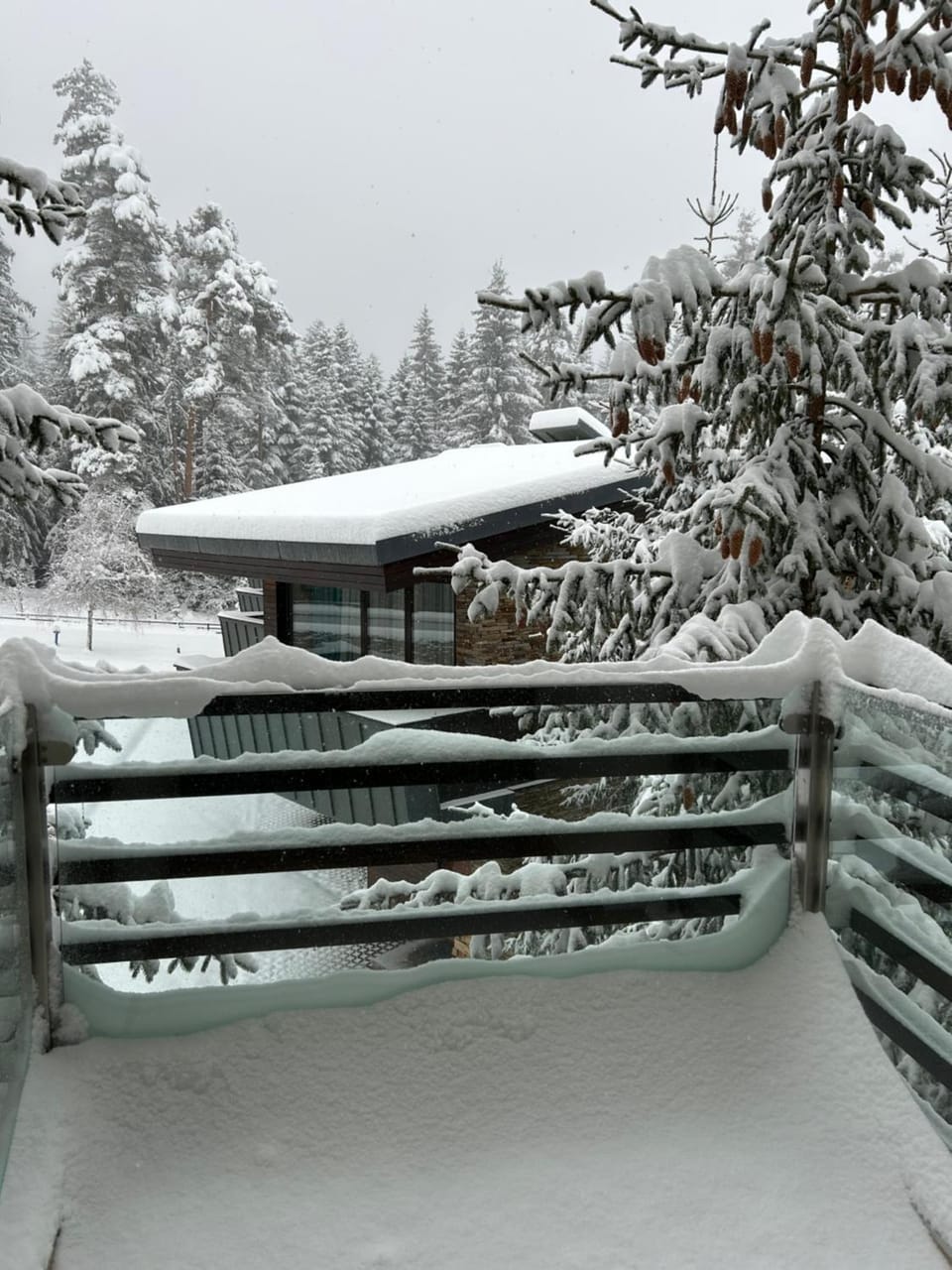 Silent retreat at Euphoria Club and SPA Borovets Apartment in North Macedonia
