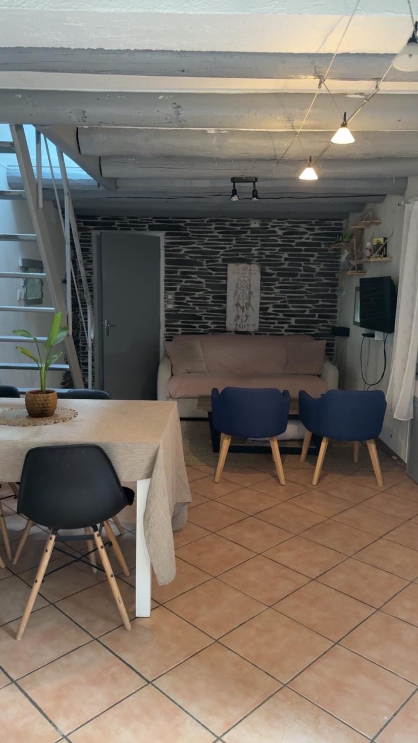 Charmante maison près des bords de la Loire Apartment in Pays de la Loire