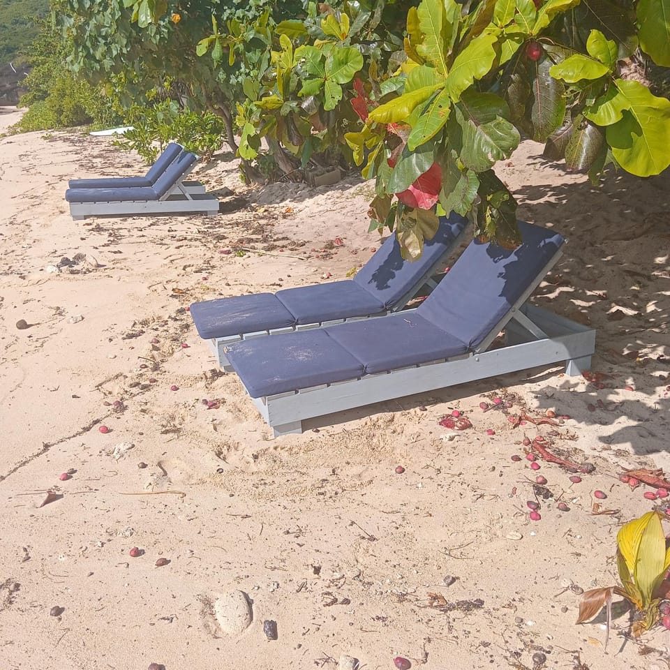 Maika beachside homestay Apartment in Western Division, Fiji