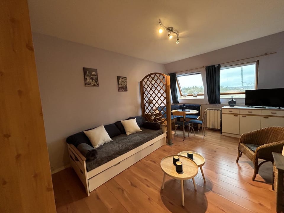 Studio cosy en centre-ville, proche Thermes - FR-1-541-135 Apartment in Nouvelle-Aquitaine