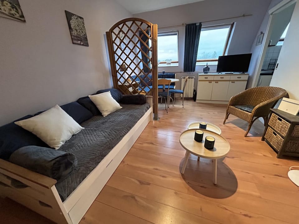 Studio cosy en centre-ville, proche Thermes - FR-1-541-135 Apartment in Nouvelle-Aquitaine