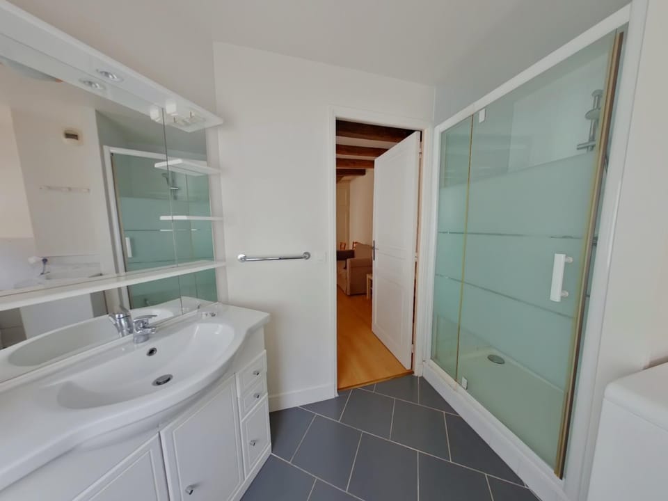 Charmant apt avec WIFI à 70m des Thermes - Animaux admis - FR-1-541-142 Apartment in Nouvelle-Aquitaine