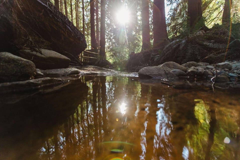 Hidden Creek Hideaway Bed and Breakfast in Roberts Creek