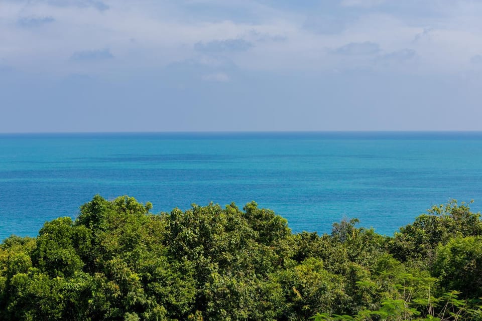 Spring, Day, Natural landscape, Sea view