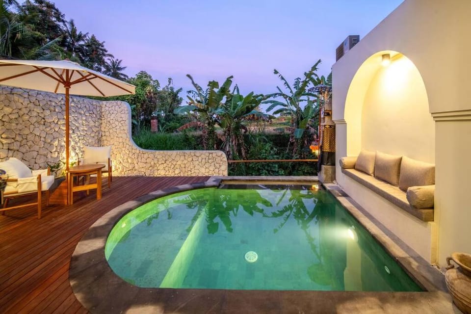 Patio, Night, Natural landscape, Garden, Garden view, Pool view, Swimming pool, Swimming pool
