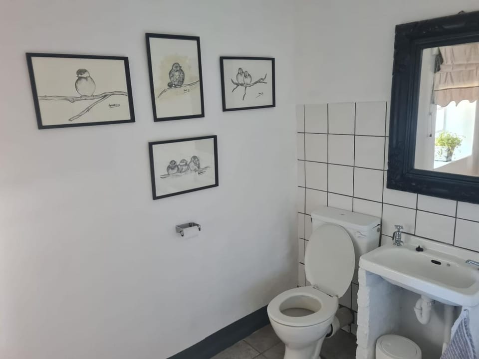 Toilet, Bathroom
