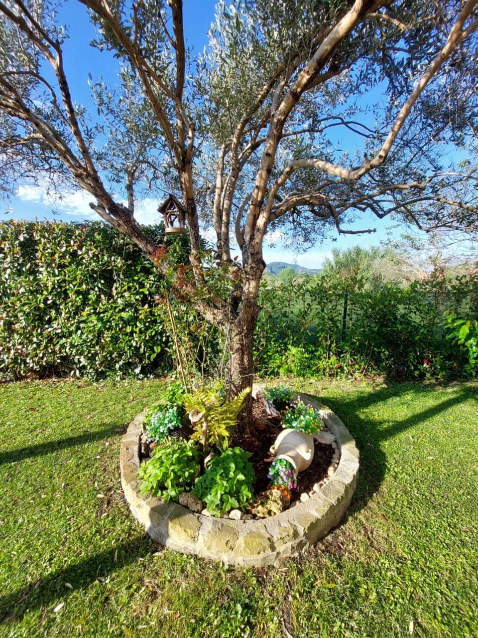 Spring, Day, Natural landscape, Garden, Garden view