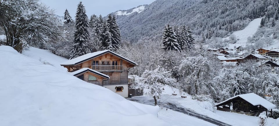 Appartement Borne Apartment in Haute-Savoie