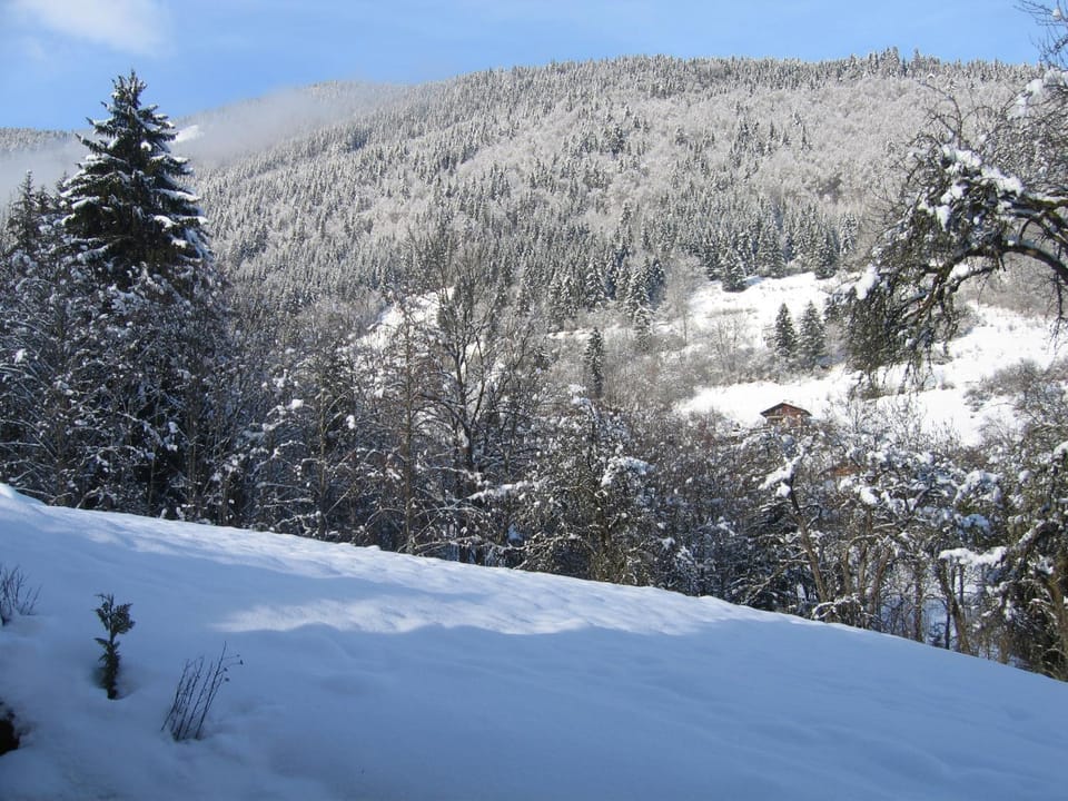 Mountain view