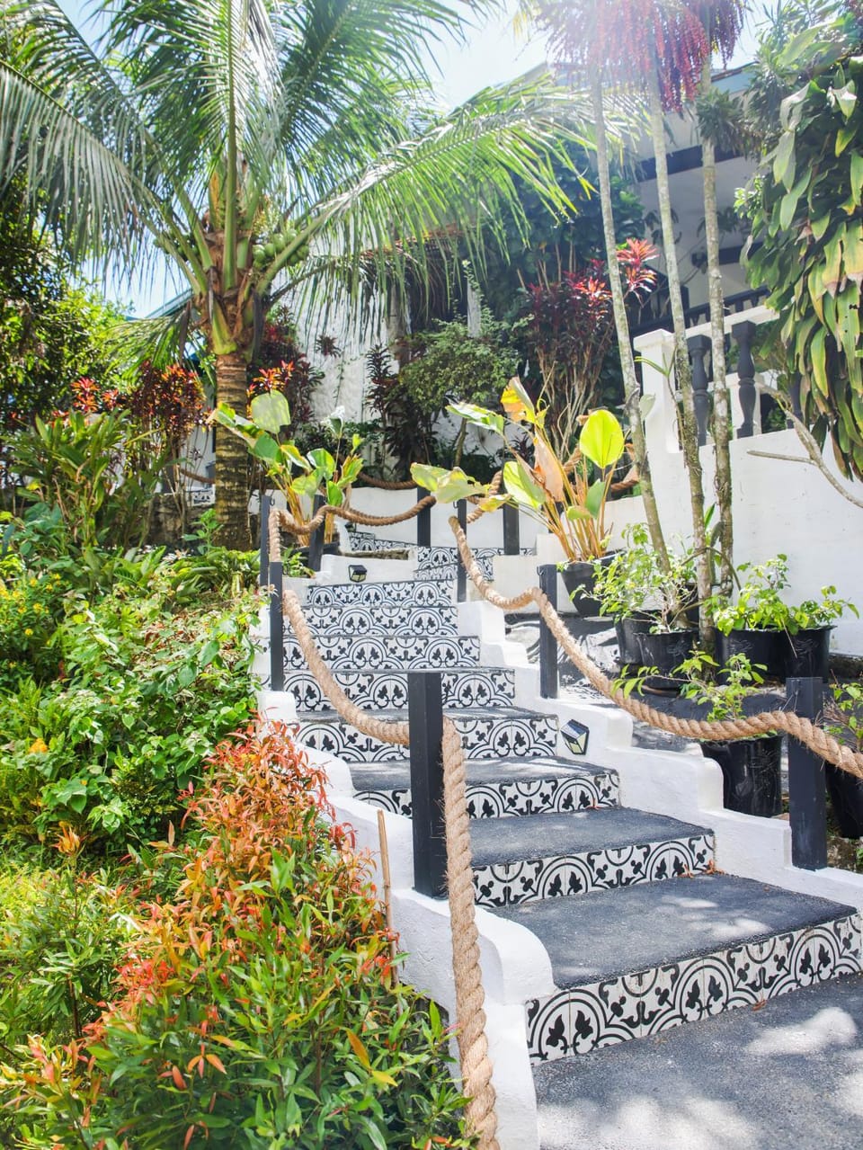 Garden, Garden view, Swimming pool