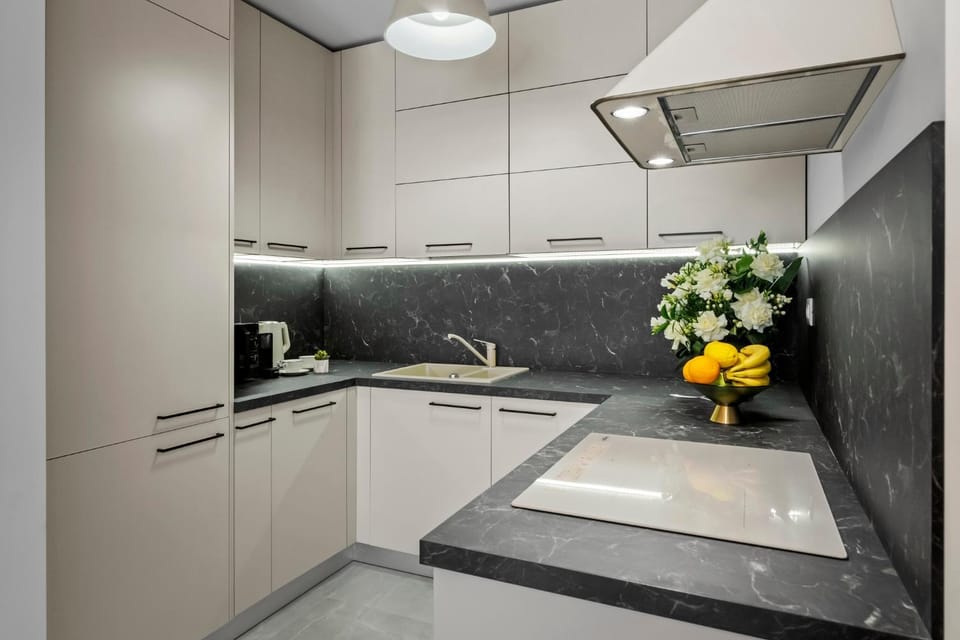 Kitchen or kitchenette, dishwasher, stove