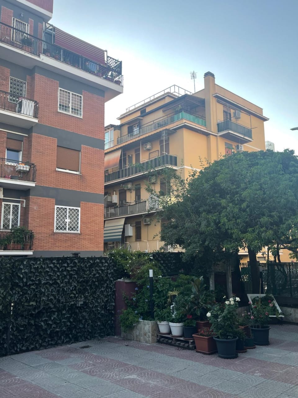 B&B Rainforest Vacation rental in Rome