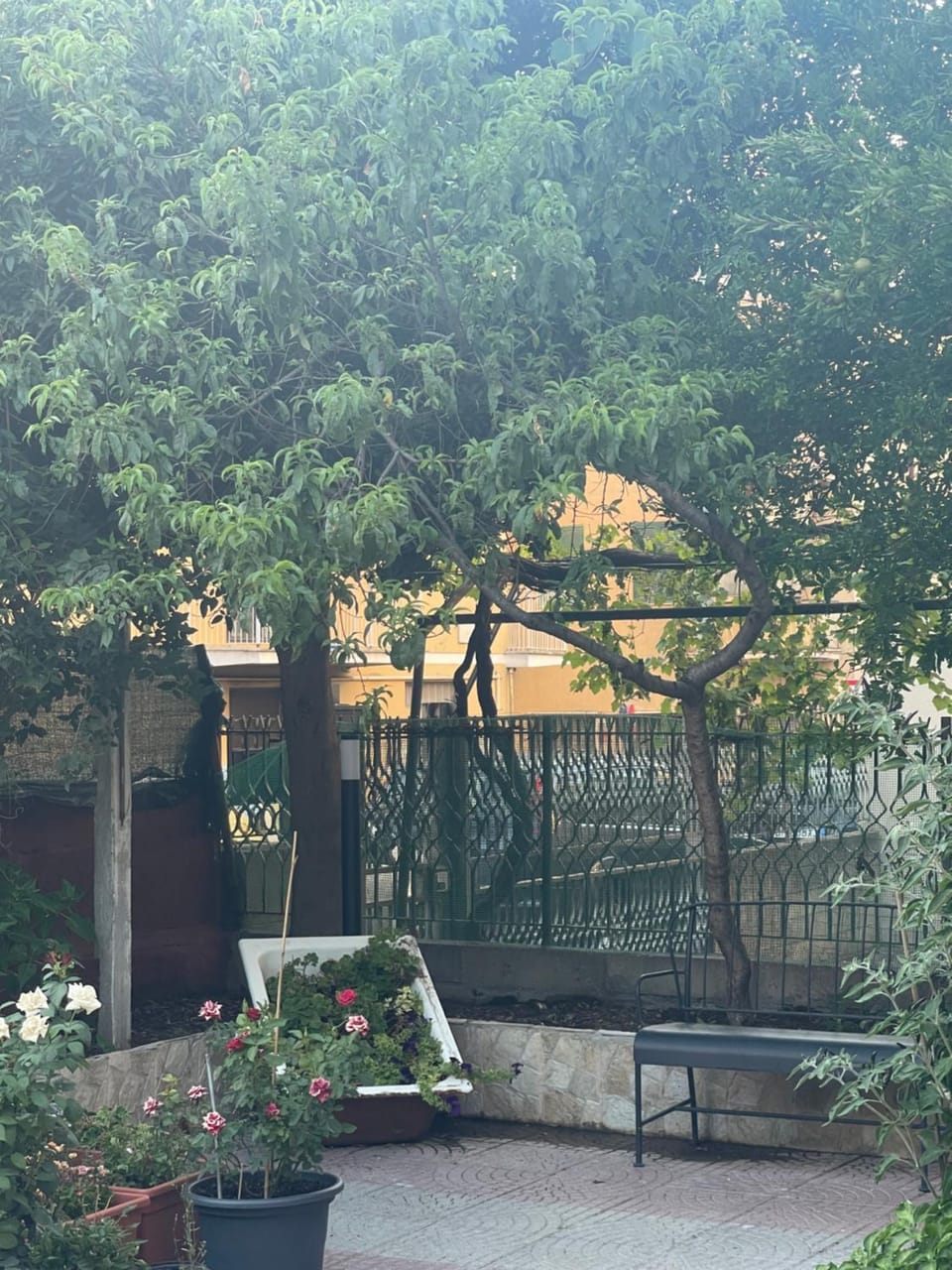 B&B Rainforest Vacation rental in Rome