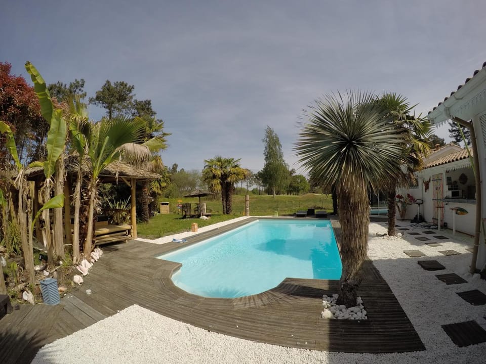Garden, Swimming pool, Swimming pool
