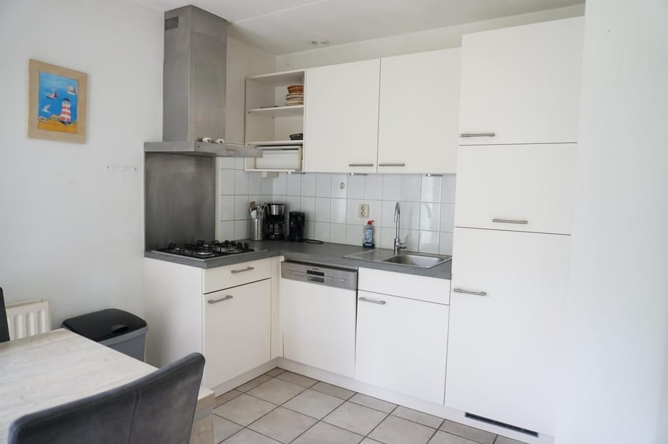 dishwasher, stove, kitchen