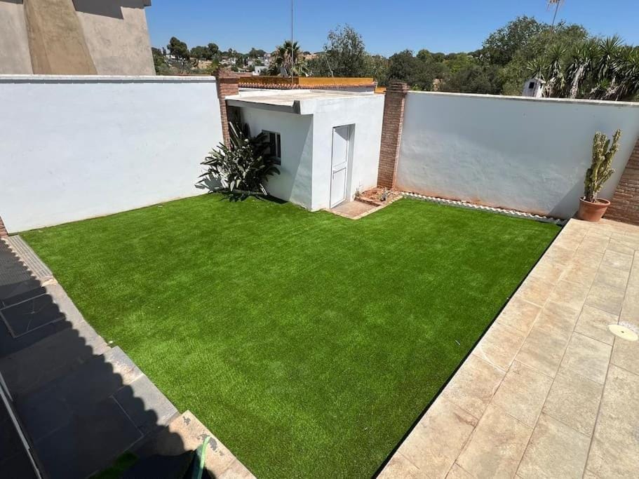 Day, Garden, Garden view