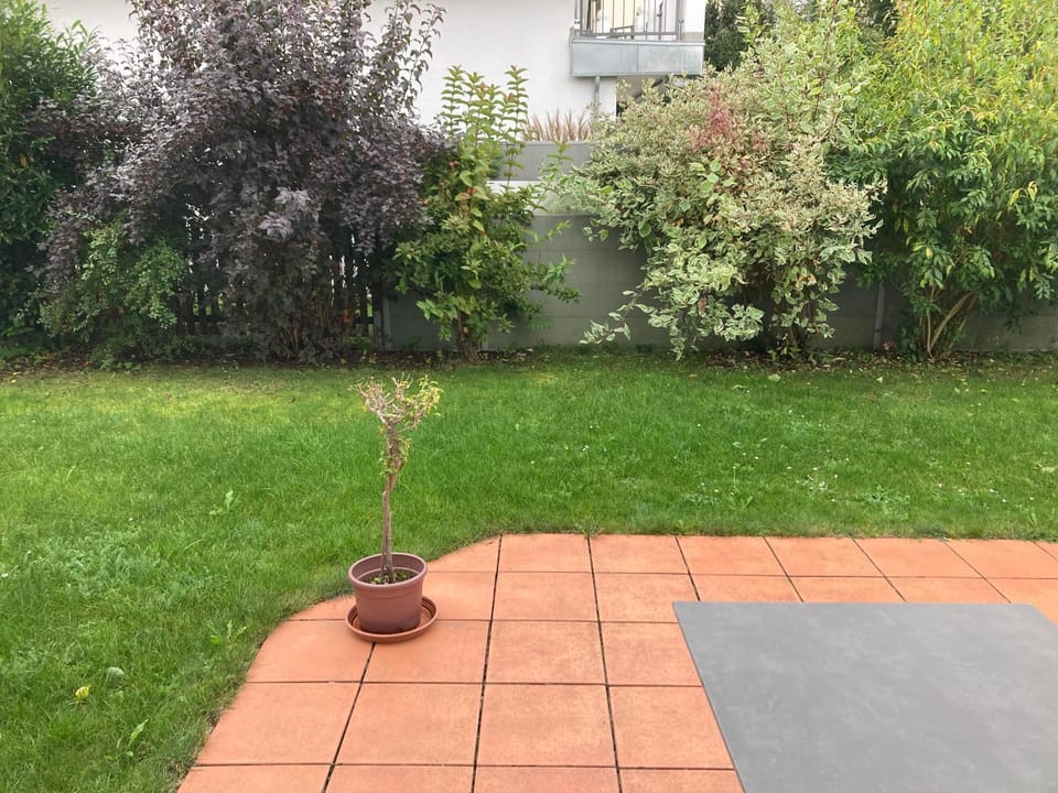 Spring, Day, Garden, Garden view
