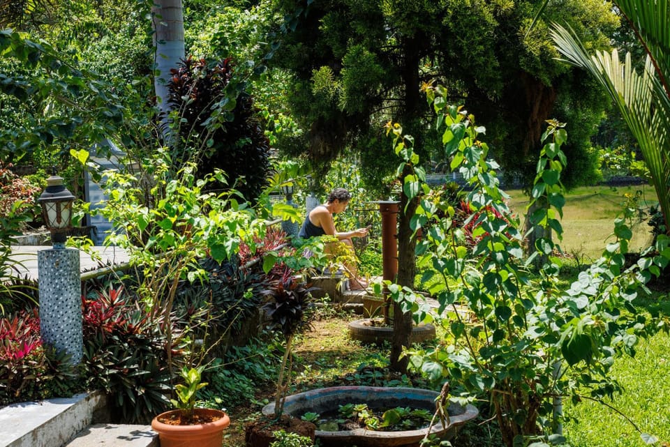 Garden