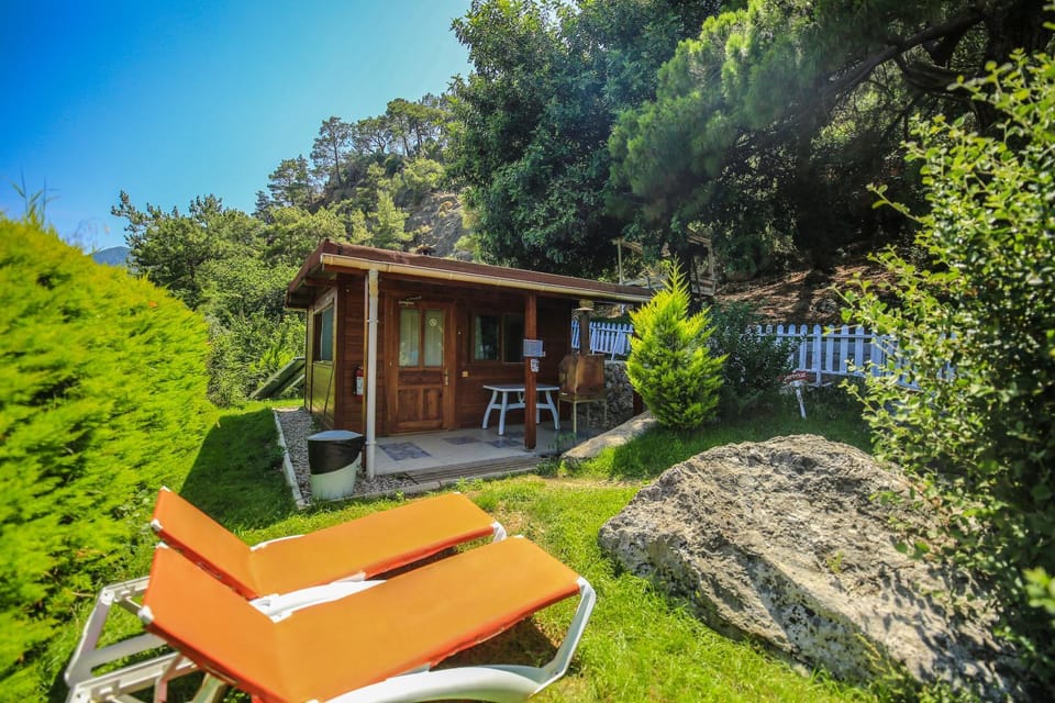 Natural landscape, Garden