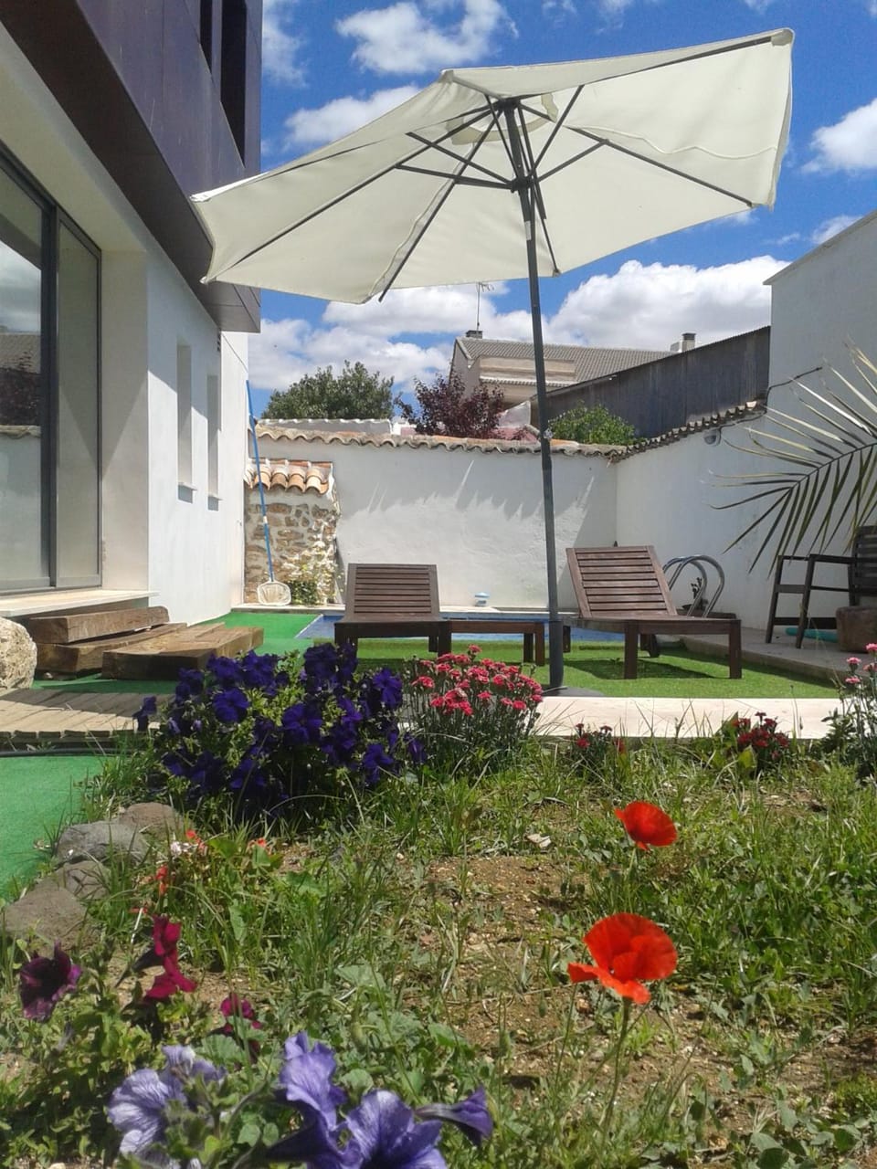 Patio, Garden