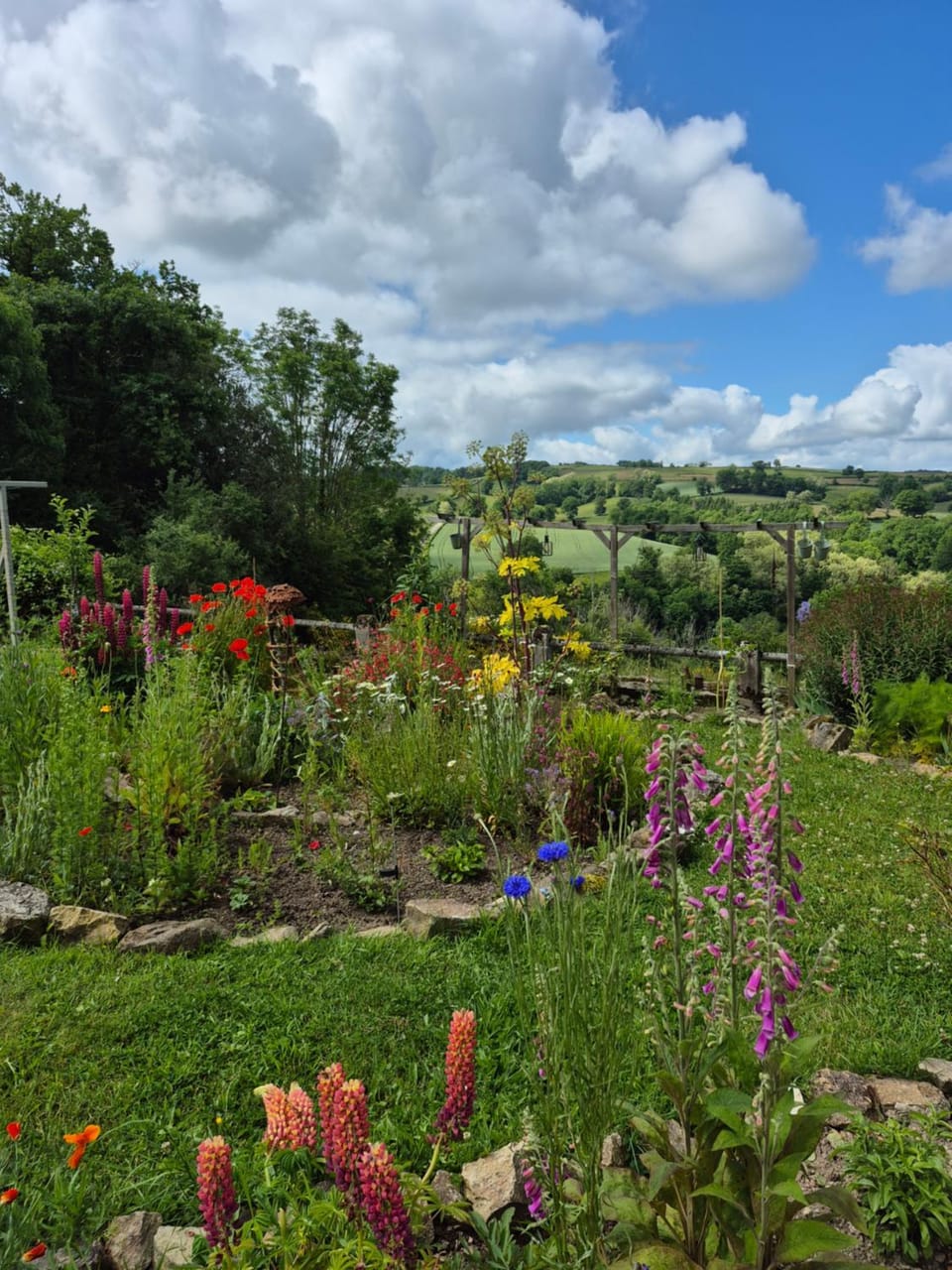 Garden view