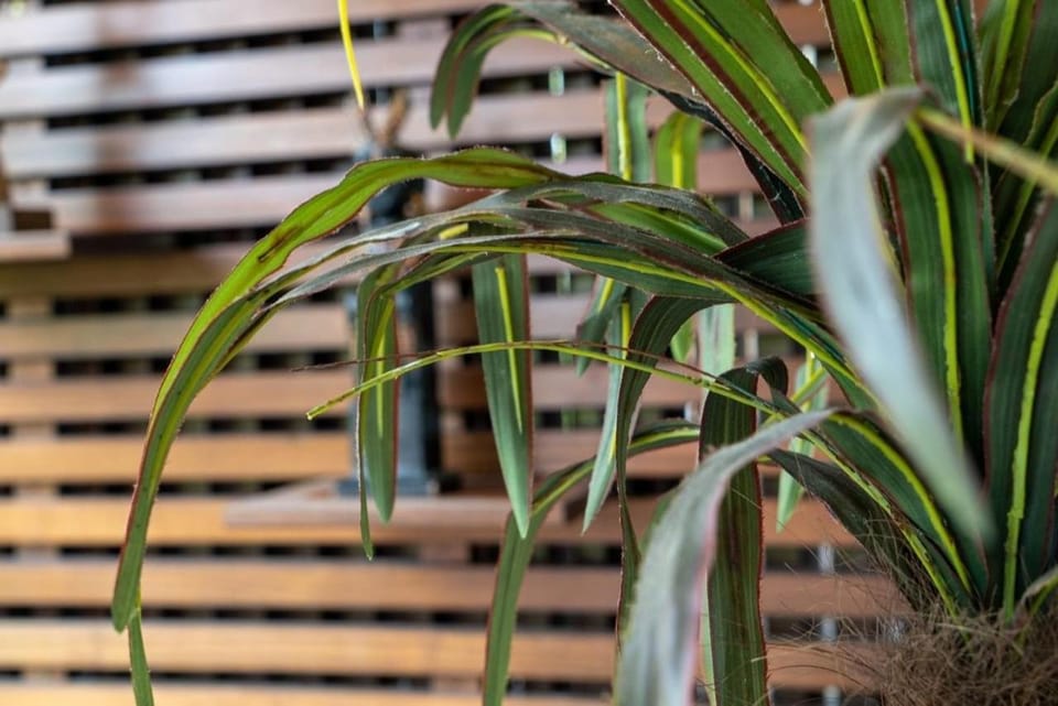 Decorative detail