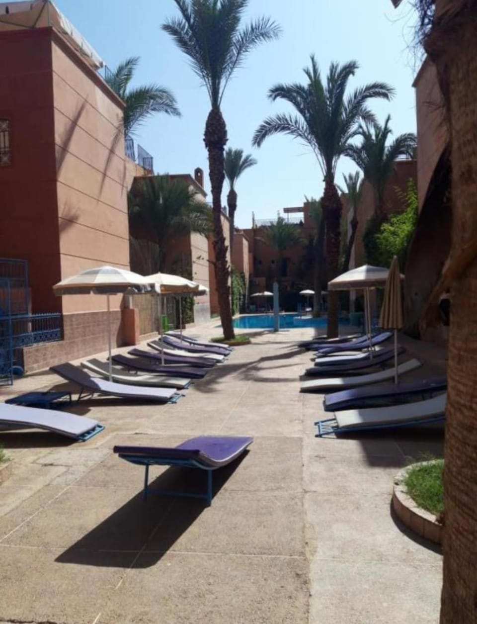 Swimming pool, sunbed