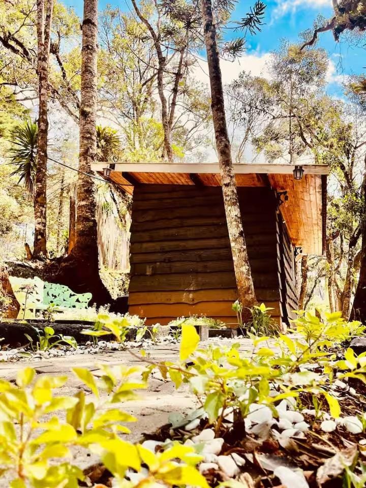 La Catedral Chalés Chalet in Campos do Jordão