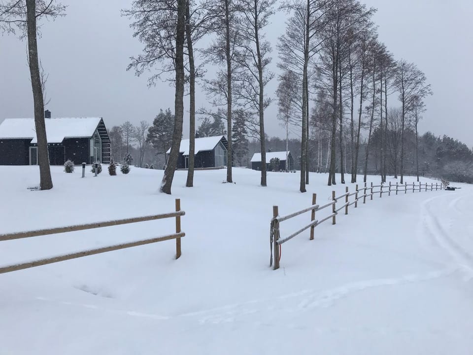 Natural landscape, Winter