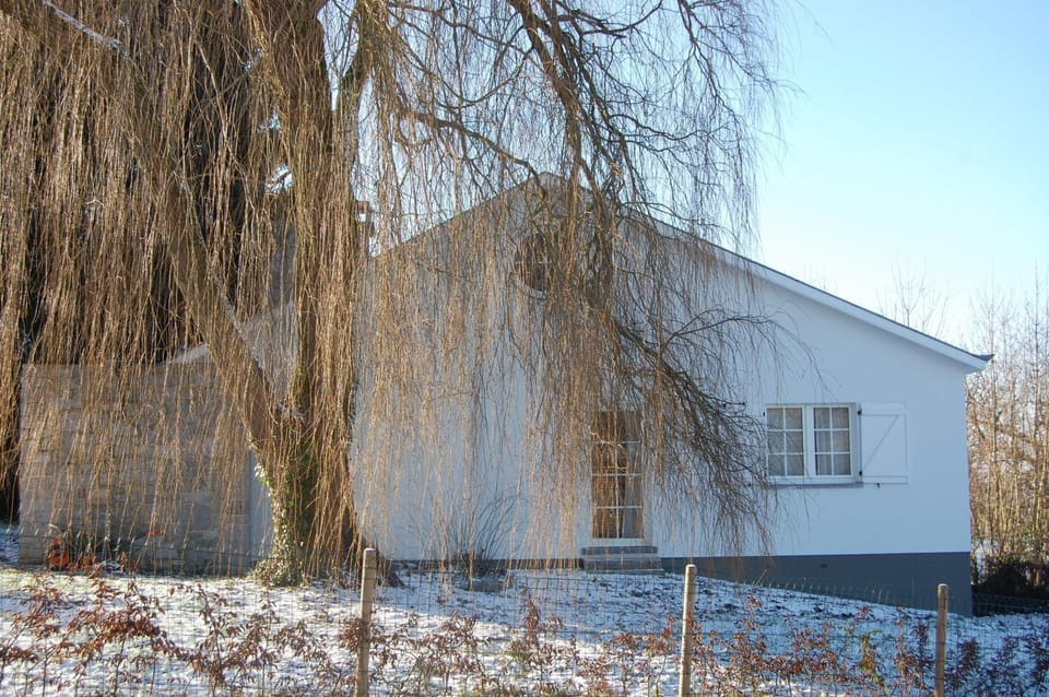Winter, Garden