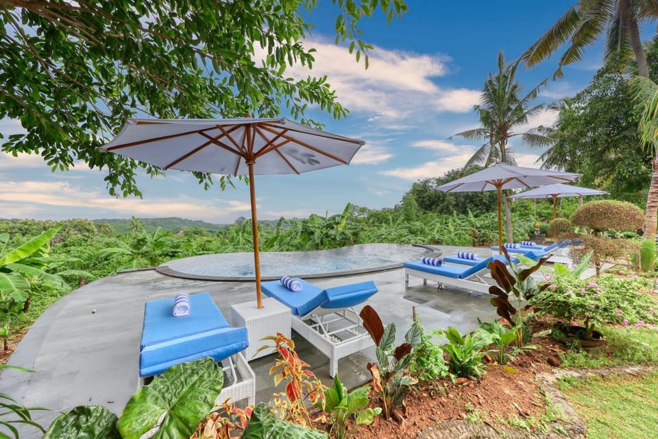 View (from property/room), Swimming pool, sunbed, towels