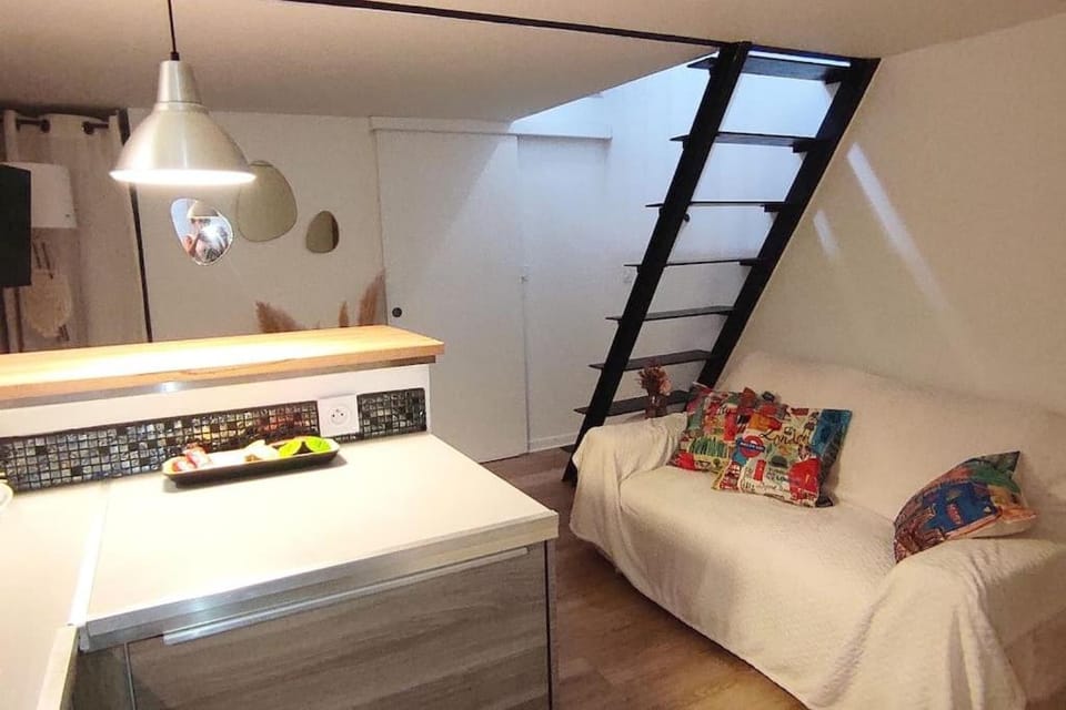 Le cocon de Rose Apartment in Toulouse